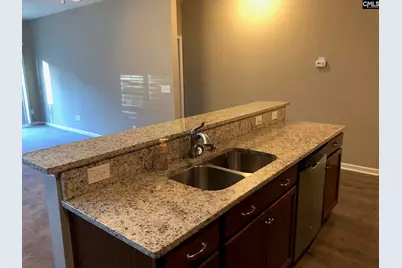 752 Helmsman Lane, Chapin, SC 29036 - Photo 6