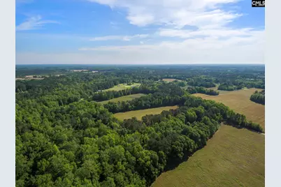 Tbd New Meadow Drive, Reevesville, SC 29471 - Photo 4