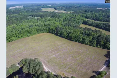 Tbd New Meadow Drive, Reevesville, SC 29471 - Photo 8