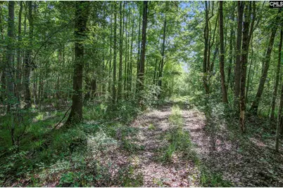 Tbd New Meadow Drive, Reevesville, SC 29471 - Photo 2