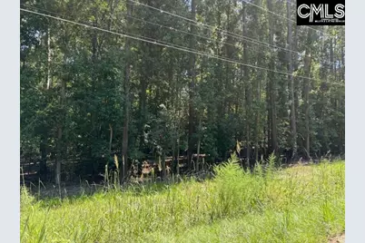 0 Wildwood Rd Extension #C-2, Leesville, SC 29070 - Photo 2
