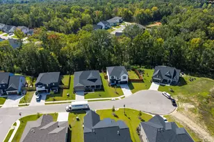 8 Elk Run Ct, Chapin, SC 29036 - Photo 54