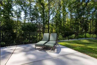 8 Elk Run Court, Chapin, SC 29036 - Photo 46