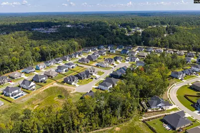 8 Elk Run Court, Chapin, SC 29036 - Photo 60