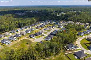 8 Elk Run Ct, Chapin, SC 29036 - Photo 60