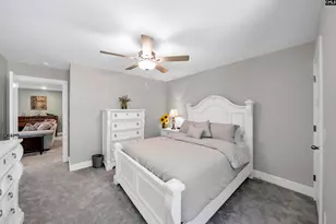 8 Elk Run Ct, Chapin, SC 29036 - Photo 38