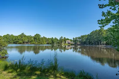 225 Lower Glen Circle, Blythewood, SC 29016 - Photo 54