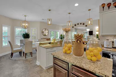 225 Lower Glen Circle, Blythewood, SC 29016 - Photo 14