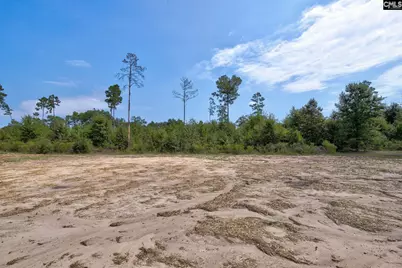 1506 Hall Road, Cassatt, SC 29032 - Photo 34