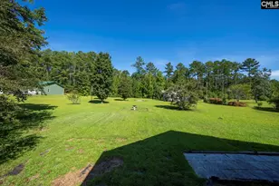 152 Berry Hill Ln, Sandy Run, SC 29053 - Photo 54