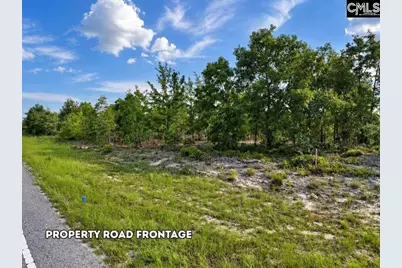 0 Lot 1 Old Georgetown Road W, Cassatt, SC 29032 - Photo 16