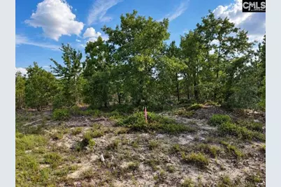0 Lot 1 Old Georgetown Road W, Cassatt, SC 29032 - Photo 20