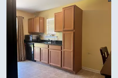232 Sunday Silence Lane, Elgin, SC 29045 - Photo 4