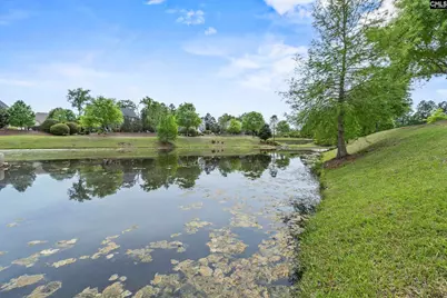 432 Sapphire Lane, Chapin, SC 29036 - Photo 54