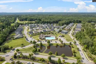 432 Sapphire Ln, Chapin, SC 29036 - Photo 60