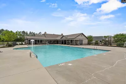 432 Sapphire Lane, Chapin, SC 29036 - Photo 50