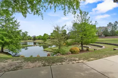 432 Sapphire Lane, Chapin, SC 29036 - Photo 56