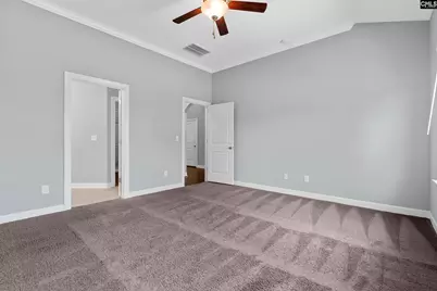 432 Sapphire Lane, Chapin, SC 29036 - Photo 30