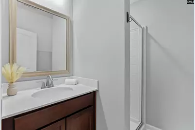 432 Sapphire Lane, Chapin, SC 29036 - Photo 38