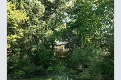 14 Saddleback Ledge Court, Irmo, SC 29063 - Photo 10