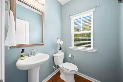 166 Tannery Way, Lexington, SC 29073 - Photo 10