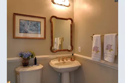 449 Lake Estate Drive, Chapin, SC 29036 - Photo 50