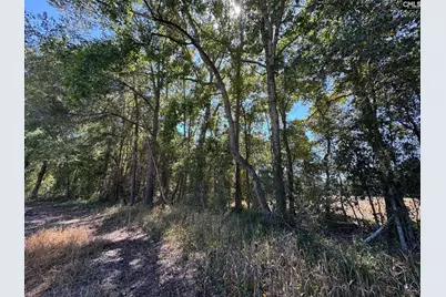 Saint Matthews Church Road, Sumter, SC 29153 - Photo 16