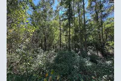 Saint Matthews Church Road, Sumter, SC 29153 - Photo 12