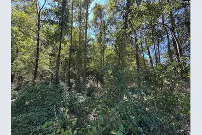 Saint Matthews Church Road, Sumter, SC 29153 - Photo 10