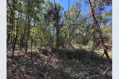 Saint Matthews Church Road, Sumter, SC 29153 - Photo 22