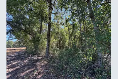 Saint Matthews Church Road, Sumter, SC 29153 - Photo 18