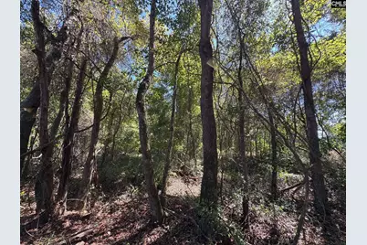 Saint Matthews Church Road, Sumter, SC 29153 - Photo 26