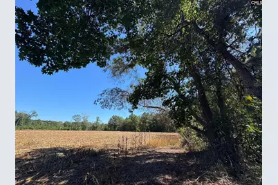Saint Matthews Church Road, Sumter, SC 29153 - Photo 2