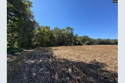 Saint Matthews Church Road, Sumter, SC 29153 - Photo 30