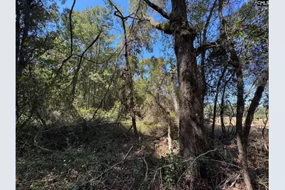 Saint Matthews Church Road, Sumter, SC 29153 - Photo 24