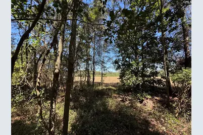 Saint Matthews Church Road, Sumter, SC 29153 - Photo 32