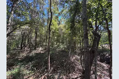 Saint Matthews Church Road, Sumter, SC 29153 - Photo 20