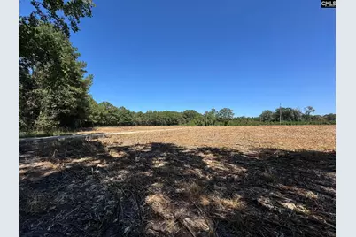 Saint Matthews Church Road, Sumter, SC 29153 - Photo 6