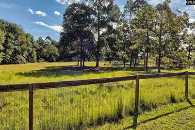 919 Windy Road, Gilbert, SC 29054 - Photo 8