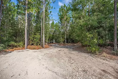 1108 Cotton Branch Road, Leesville, SC 29070 - Photo 58