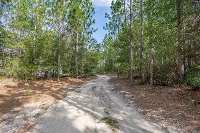 1108 Cotton Branch Road, Leesville, SC 29070 - Photo 60