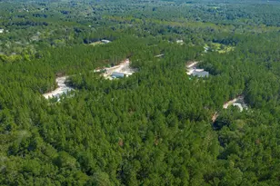 1108 Cotton Branch Rd, Leesville, SC 29070 - Photo 70