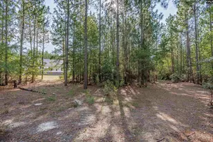 1108 Cotton Branch Rd, Leesville, SC 29070 - Photo 64