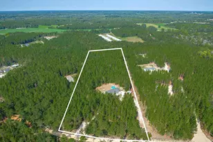 1108 Cotton Branch Rd, Leesville, SC 29070 - Photo 6