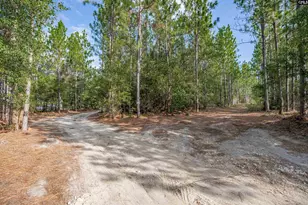 1108 Cotton Branch Rd, Leesville, SC 29070 - Photo 60
