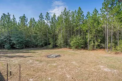 1108 Cotton Branch Road, Leesville, SC 29070 - Photo 50