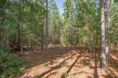 1108 Cotton Branch Road, Leesville, SC 29070 - Photo 62
