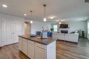 739 Tanager Ln, Blythewood, SC 29016 - Photo 12