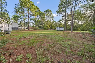 229 Transcom Court, Gaston, SC 29053 - Photo 28