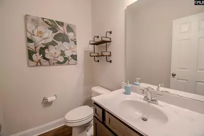 11848 Broad River Road, Chapin, SC 29036 - Photo 28